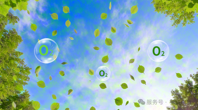 認識氣體的危害|氧氣濃度監測與預防